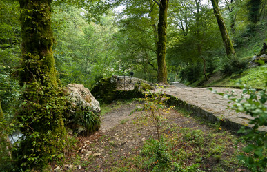 Similar image 21722604