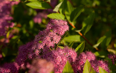 Similar image 21764774