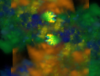 Similar image 21759644