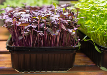 Similar image 21744306