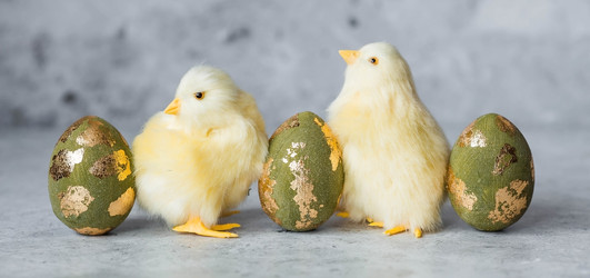 Similar image 21722129