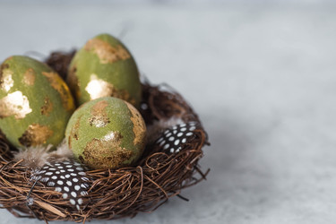 Similar image 21722151