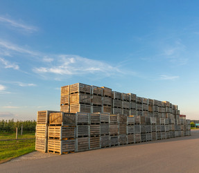 Similar image 21721702