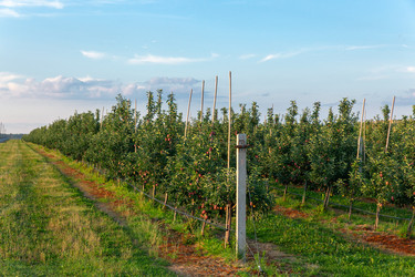 Similar image 21721707