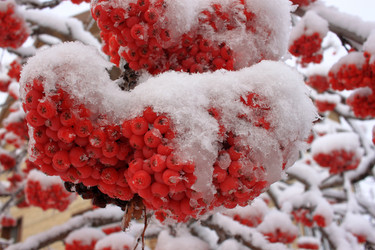 Similar image 21721438