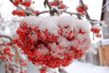 Similar image 21721440