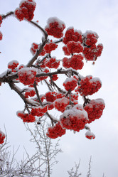 Similar image 21721441