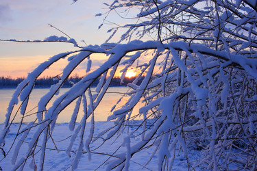 Similar image 21721715