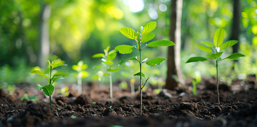 Similar image 21721449