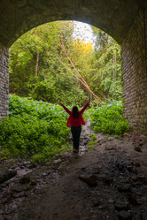 Similar image 21745762