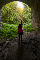 Similar image 21745763