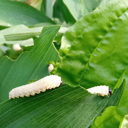 Similar image 21721462