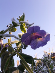 Similar image 21721463