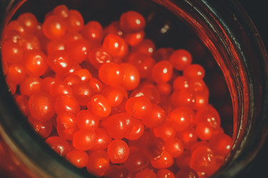 Similar image 21721887