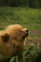 Similar image 21721891