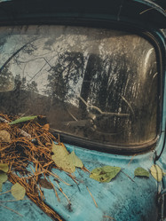 Similar image 21756673