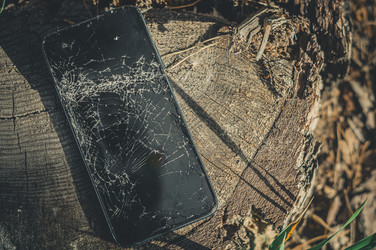 Similar image 21743905