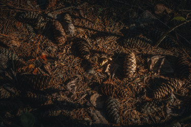 Similar image 21761017