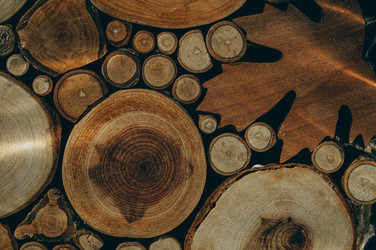 Similar image 21744086