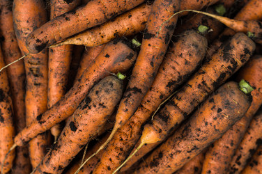 Similar image 21721896