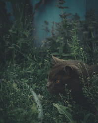 Similar image 21744087