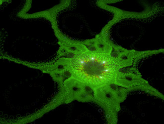 Similar image 21759656