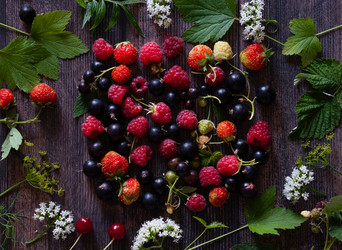 Similar image 21721903