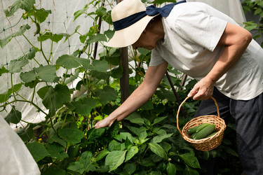 Similar image 21721905