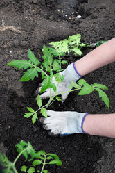 Similar image 21721911