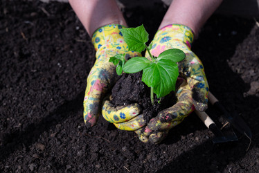 Similar image 21721913