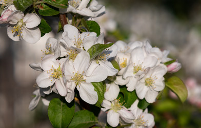 Similar image 21721916