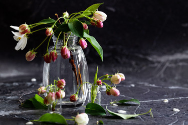 Similar image 21721917