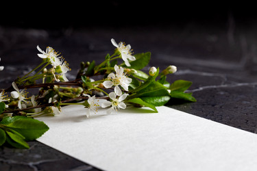 Similar image 21721920