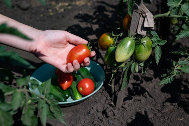 Similar image 21721931