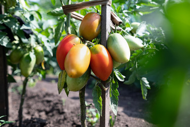 Similar image 21721933