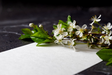 Similar image 21722204