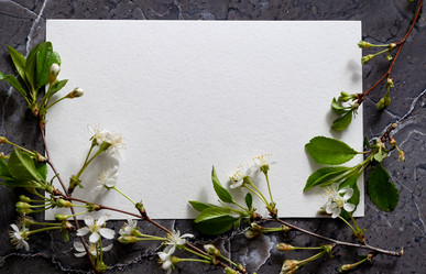 Similar image 21721945