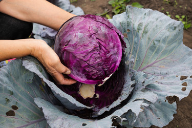 Similar image 21721951