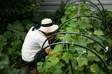 Similar image 21721955