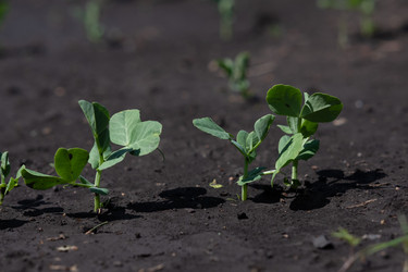 Similar image 21721956