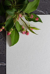 Similar image 21721959