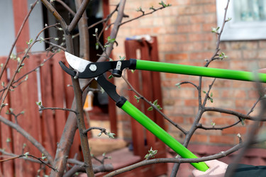 Similar image 21721961