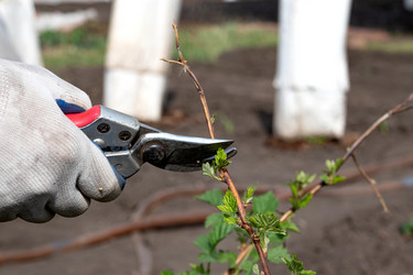 Similar image 21721962