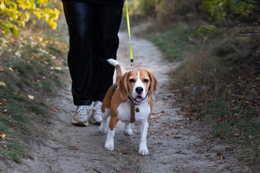 Similar image 21721971