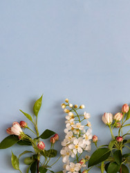 Similar image 21721973