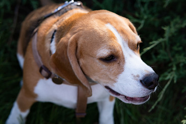 Similar image 21721974