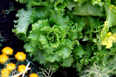 Similar image 21721975