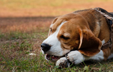 Similar image 21721977