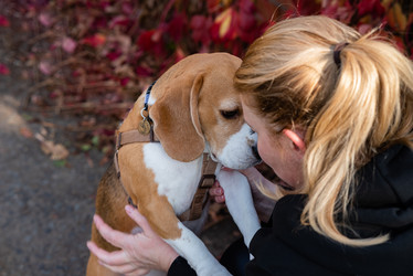 Similar image 21743795