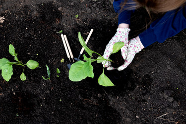 Similar image 21721980